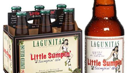 Lagunitas Little Sumpin’ Sumpin’ Ale – (ABD)