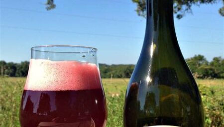 Jester King Brewery Atrial Rubicite – ABD